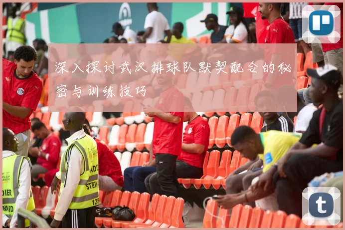 深入探讨武汉排球队默契配合的秘密与训练技巧